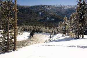 2019Feb22_0258.jpg

6,763.23 KB 
6000 x 4000 
3/10/2019