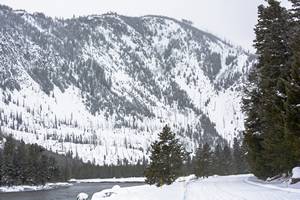 2019Feb23_0064.jpg

8,716.52 KB 
6000 x 4000 
3/10/2019