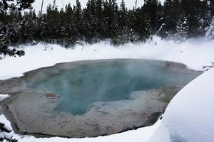 2019Feb23_0170.jpg

3,981.44 KB 
6000 x 4000 
3/10/2019