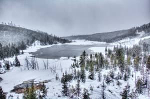 2019Feb23_0189_90_91_92_93_Enhancer.jpg

8,837.34 KB 
6024 x 4006 
3/5/2019