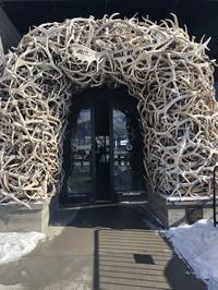 IMG_1103.jpg

6,793.75 KB 
4032 x 3024 
3/10/2019