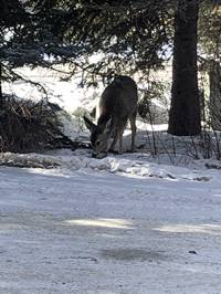 IMG_1108.jpg

4,451.32 KB 
4032 x 3024 
3/10/2019