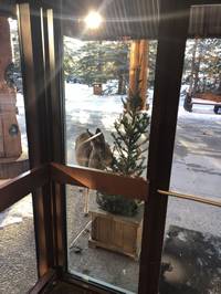 IMG_1110.jpg

6,499.50 KB 
4032 x 3024 
3/10/2019