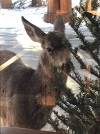 IMG_1111.jpg

4,826.03 KB 
4032 x 3024 
3/10/2019