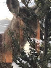 IMG_1112.jpg

4,205.97 KB 
4032 x 3024 
3/10/2019