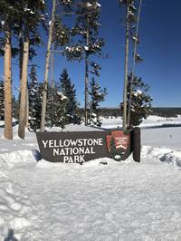 IMG_1131.jpg

7,675.70 KB 
4032 x 3024 
3/10/2019