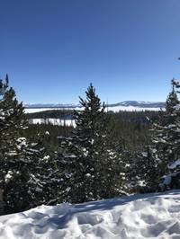 IMG_1151.jpg

6,380.42 KB 
4032 x 3024 
3/10/2019