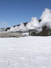 IMG_1154.jpg

3,583.43 KB 
4032 x 3024 
3/10/2019