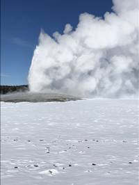 IMG_1161.jpg

3,733.62 KB 
4032 x 3024 
3/10/2019