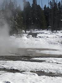 IMG_1166.jpg

3,517.86 KB 
4032 x 3024 
3/10/2019