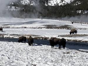 IMG_1168.jpg

4,363.50 KB 
4032 x 3024 
3/10/2019