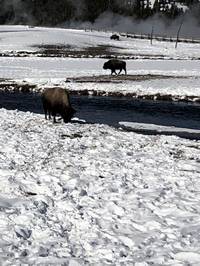 IMG_1173.jpg

4,464.20 KB 
4032 x 3024 
3/10/2019