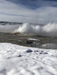 IMG_1181.jpg

5,540.57 KB 
4032 x 3024 
3/10/2019