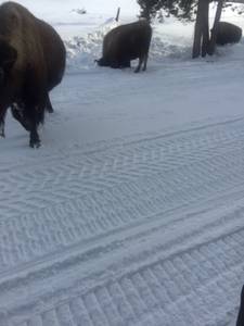 IMG_1197.JPG

122.56 KB 
960 x 1280 
3/10/2019