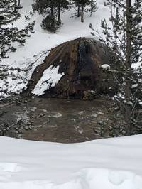 IMG_1221.jpg

3,939.95 KB 
4032 x 3024 
3/10/2019