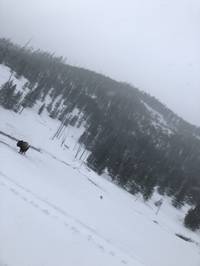 IMG_1239.jpg

3,171.11 KB 
4032 x 3024 
3/10/2019