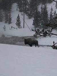 IMG_1242.jpg

3,038.17 KB 
4032 x 3024 
3/10/2019