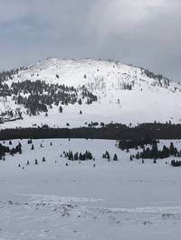 IMG_1244.jpg

3,495.26 KB 
4032 x 3024 
3/10/2019