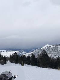 IMG_1251.jpg

3,017.44 KB 
4032 x 3024 
3/10/2019