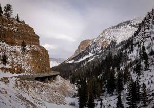 IMG_1265.JPG

581.64 KB 
2048 x 1442 
3/10/2019