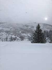 IMG_1274.jpg

4,063.10 KB 
4032 x 3024 
3/10/2019