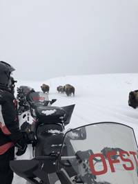 IMG_1281.jpg

3,309.05 KB 
4032 x 3024 
3/10/2019