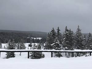 IMG_1287.jpg

4,124.30 KB 
4032 x 3024 
3/10/2019