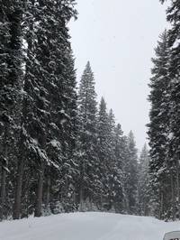 IMG_1294.jpg

5,505.21 KB 
4032 x 3024 
3/10/2019