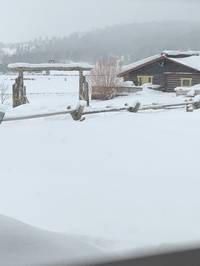 IMG_1299.jpg

2,334.71 KB 
4032 x 3024 
3/10/2019