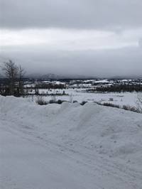 IMG_1309.jpg

4,184.69 KB 
4032 x 3024 
3/10/2019