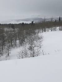 IMG_1311.jpg

4,210.58 KB 
4032 x 3024 
3/10/2019