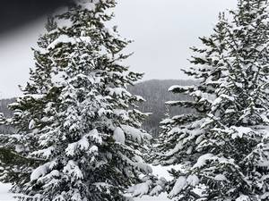 IMG_1314.jpg

6,262.85 KB 
4032 x 3024 
3/10/2019