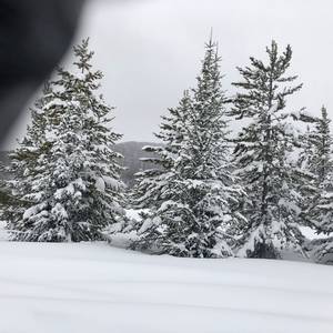 IMG_1315.jpg

4,505.14 KB 
3024 x 3024 
3/10/2019