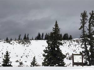 IMG_1322.jpg

4,592.27 KB 
4032 x 3024 
3/10/2019