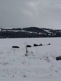 IMG_1327.jpg

2,571.88 KB 
4032 x 3024 
3/10/2019