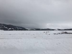 IMG_1328.jpg

3,850.57 KB 
4032 x 3024 
3/10/2019