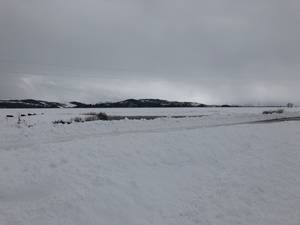 IMG_1329.jpg

3,729.11 KB 
4032 x 3024 
3/10/2019